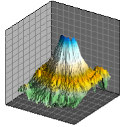 Surface Grid Map